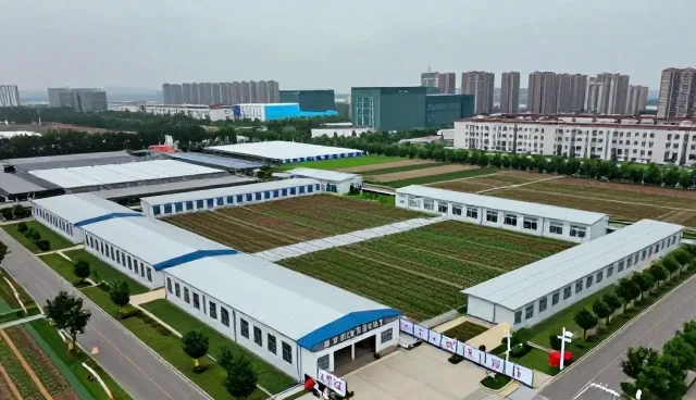 健康管理在职场人群中的实际应用与效果分析
